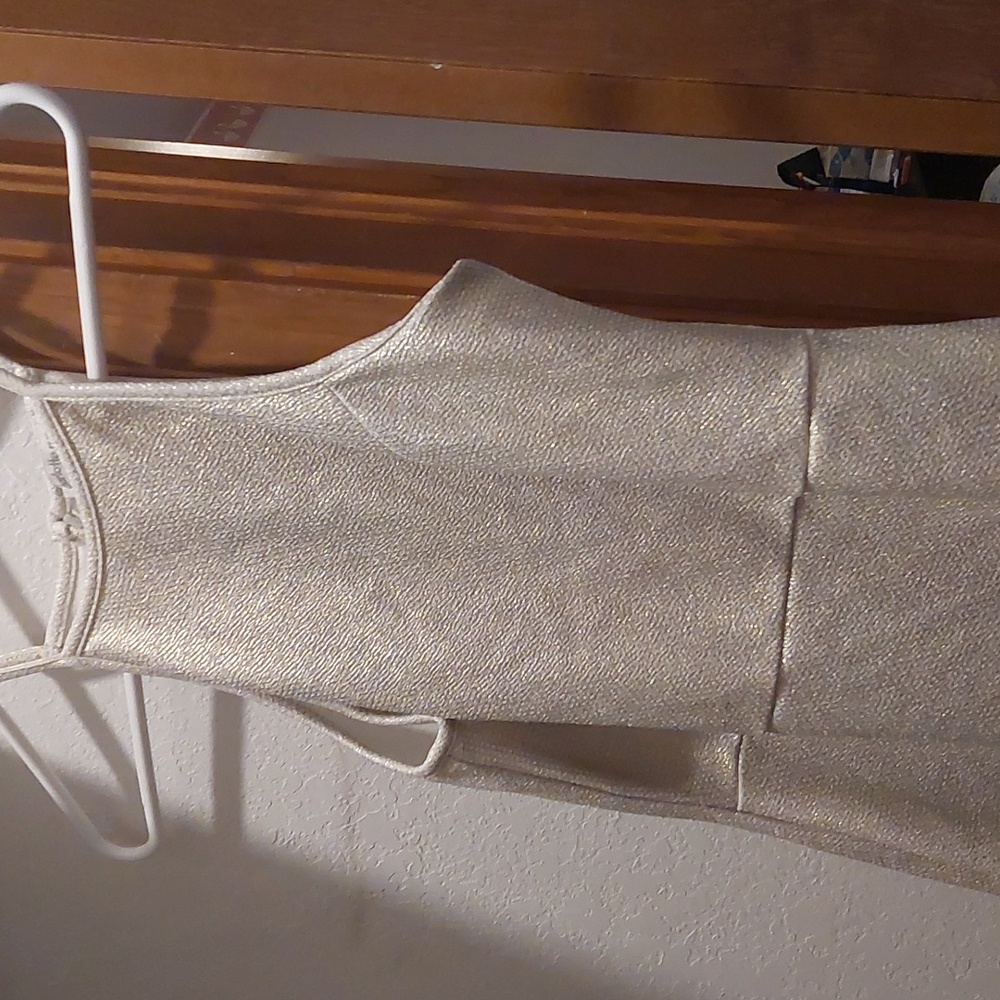 Charlotte Russ dress